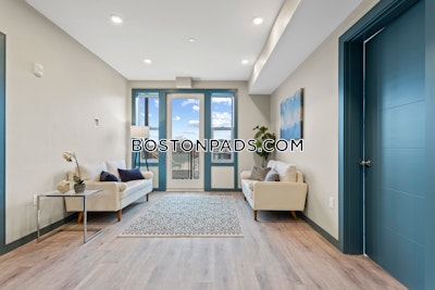 Dorchester/south Boston Border 2 bedroom 2 baths in BOSTON Boston - $3,350