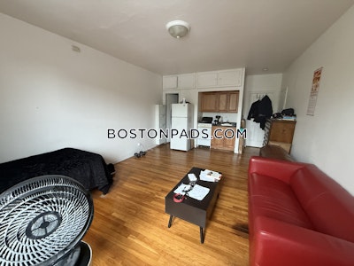 Allston Apartment for rent Studio 1 Bath Boston - $1,650