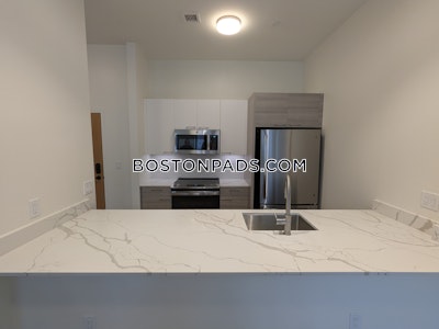 Allston 1 bedroom 1 baths in BOSTON Boston - $3,300 No Fee