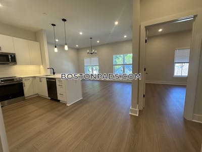 Brighton Apartment for rent 2 Bedrooms 2 Baths Boston - $4,250