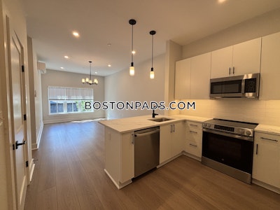 Brighton Apartment for rent 2 Bedrooms 2 Baths Boston - $5,000