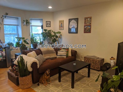 Brighton Apartment for rent 1 Bedroom 1 Bath Boston - $1,995