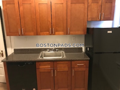 Allston/brighton Border Apartment for rent 1 Bedroom 1 Bath Boston - $2,625 No Fee