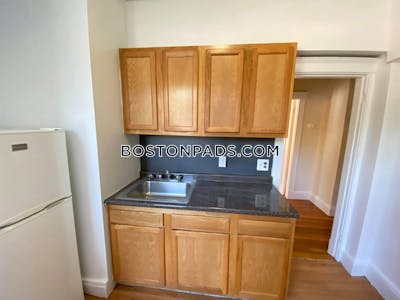 Brighton Apartment for rent 1 Bedroom 1 Bath Boston - $2,325 50% Fee