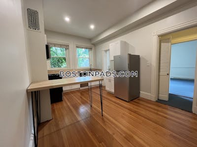 Fenway/kenmore Apartment for rent 1 Bedroom 1 Bath Boston - $3,500