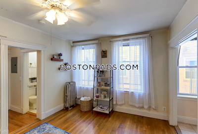 Allston Apartment for rent 1 Bedroom 1 Bath Boston - $2,495 No Fee