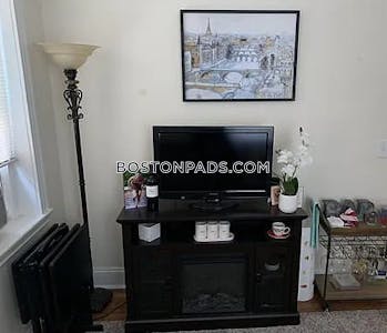 Mission Hill Studio 1 Bath Boston - $2,075