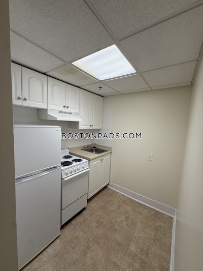 Chinatown Apartment for rent 1 Bedroom 1 Bath Boston - $3,000 No Fee