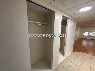 Chinatown Apartment for rent Studio 1 Bath Boston - $2,425 No Fee