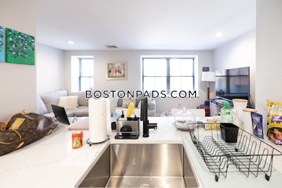 South End 1 bedroom 1 baths in BOSTON Boston - $3,300
