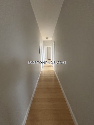 Roxbury Apartment for rent 3 Bedrooms 1 Bath Boston - $2,695 50% Fee