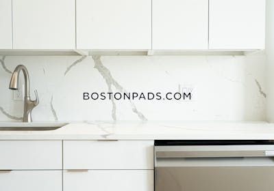 Brighton Apartment for rent 1 Bedroom 1 Bath Boston - $3,600