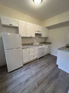 Allston/brighton Border Apartment for rent 1 Bedroom 1 Bath Boston - $2,700