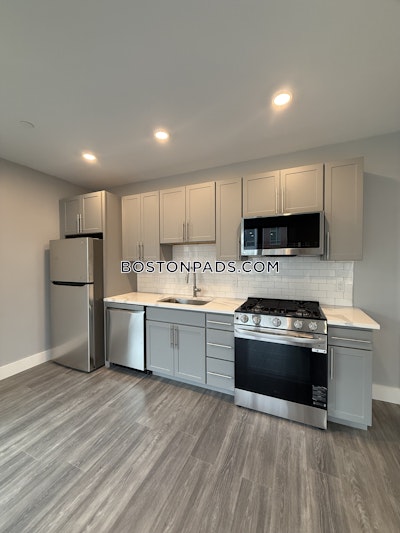 Brighton 3 bedroom 2 baths Luxury in BOSTON Boston - $4,800