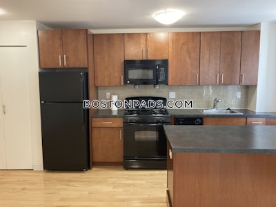 Brighton Apartment for rent 1 Bedroom 1 Bath Boston - $2,638