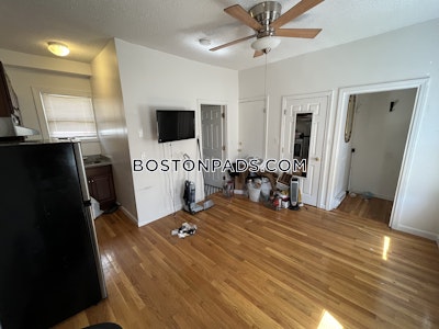 Dorchester Apartment for rent Studio 1 Bath Boston - $1,800