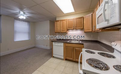 Allston Apartment for rent 1 Bedroom 1 Bath Boston - $2,300