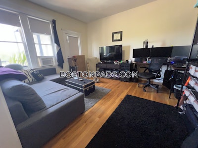 Brighton Apartment for rent 1 Bedroom 1 Bath Boston - $2,300 No Fee