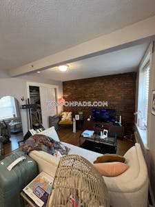 Downtown Apartment for rent 1 Bedroom 1 Bath Boston - $2,600 No Fee