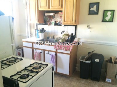 Brighton Apartment for rent 1 Bedroom 1 Bath Boston - $2,200