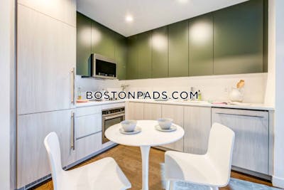 Fenway/kenmore Studio  baths Luxury in BOSTON Boston - $3,382