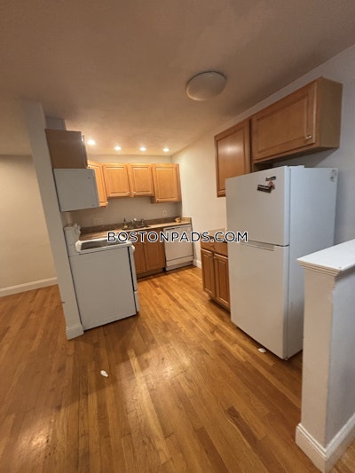 Brighton Apartment for rent 1 Bedroom 1 Bath Boston - $2,325 No Fee