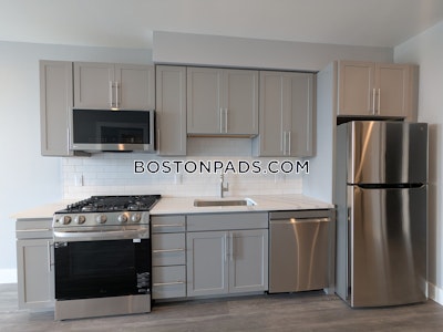 Brighton Apartment for rent 1 Bedroom 1 Bath Boston - $3,500 No Fee
