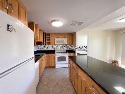 Allston 2 bedroom 2 baths in BOSTON Boston - $3,780 No Fee