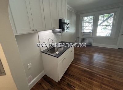 Brighton Studio 1 baths in BOSTON Boston - $1,975