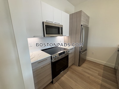 Allston 1 bedroom 1 baths in BOSTON Boston - $3,450 No Fee
