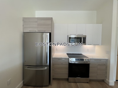 Allston Apartment for rent 2 Bedrooms 2 Baths Boston - $4,550 No Fee