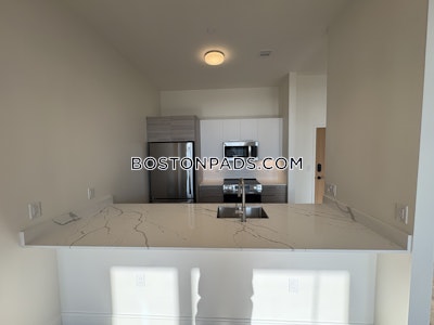Allston Apartment for rent 2 Bedrooms 2 Baths Boston - $4,750 No Fee