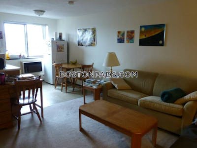 Cambridge Apartment for rent Studio 1 Bath  Davis Square - $2,200