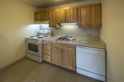 Allston Apartment for rent 1 Bedroom 1 Bath Boston - $3,550