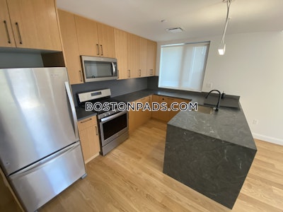 Allston Apartment for rent 2 Bedrooms 2 Baths Boston - $5,100