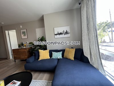 Brighton Apartment for rent Studio 1 Bath Boston - $2,899
