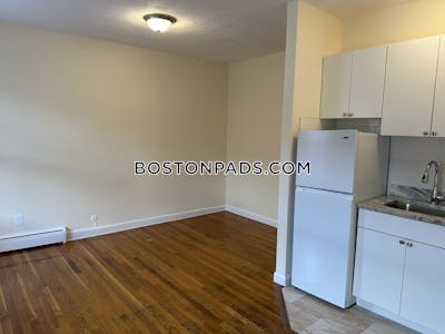 Brighton Apartment for rent 2 Bedrooms 1 Bath Boston - $2,900 No Fee