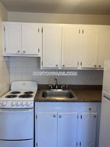 Allston/brighton Border Apartment for rent 1 Bedroom 1 Bath Boston - $2,500 No Fee