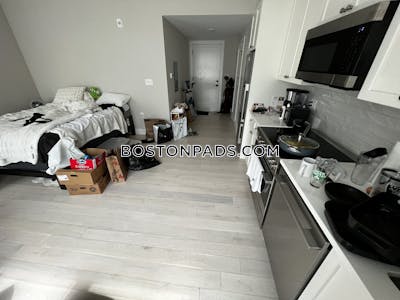 Jamaica Plain Apartment for rent Studio 1 Bath Boston - $2,795 50% Fee