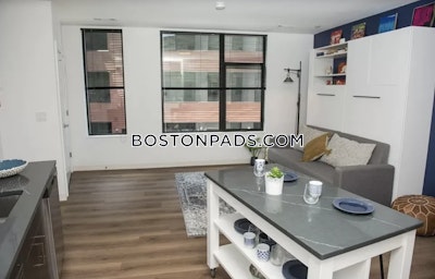 Allston Studio  Luxury in BOSTON Boston - $2,990 No Fee