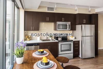 Downtown Studio  Luxury in BOSTON Boston - $3,920