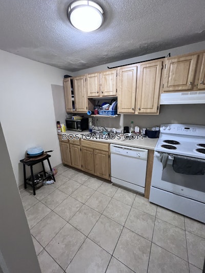 Allston/brighton Border Apartment for rent 2 Bedrooms 1 Bath Boston - $2,800 No Fee