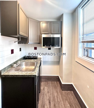 Worcester Apartment for rent Studio 1 Bath - $1,350 No Fee