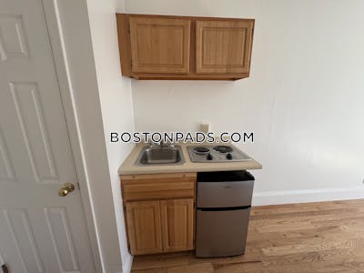 Brookline Apartment for rent Studio 1 Bath Boston University - $1,995 No Fee