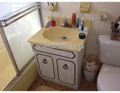 Somerville Apartment for rent 5 Bedrooms 1.5 Baths  Davis Square - $5,500 No Fee