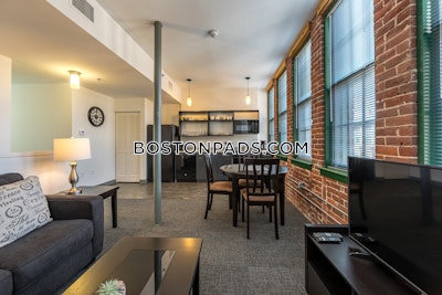 Waltham Apartment for rent 3 Bedrooms 1 Bath - $4,299
