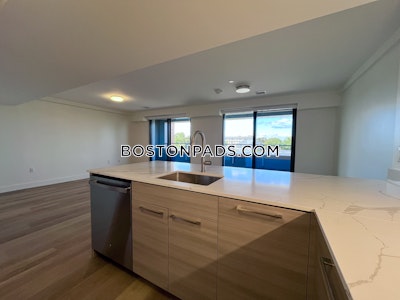 Allston 2 bedroom 2.5 baths in BOSTON Boston - $4,300 No Fee