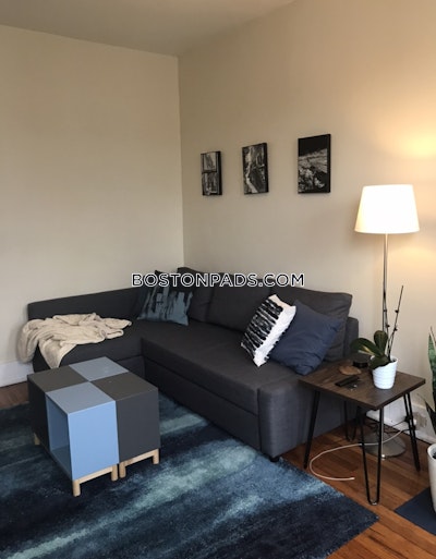 Allston Apartment for rent 1 Bedroom 1 Bath Boston - $2,890
