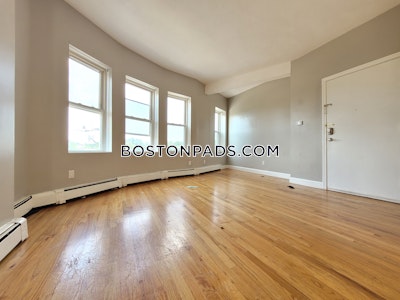 Roxbury 3 Beds 1 Bath Boston - $3,255