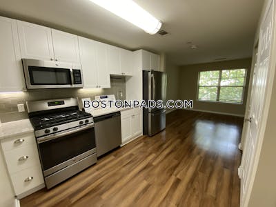 Newton Apartment for rent Studio 1 Bath  Chestnut Hill - $2,960